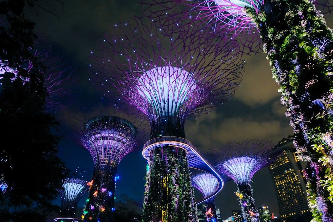 gardens by the bay singapore supertrees night landscape