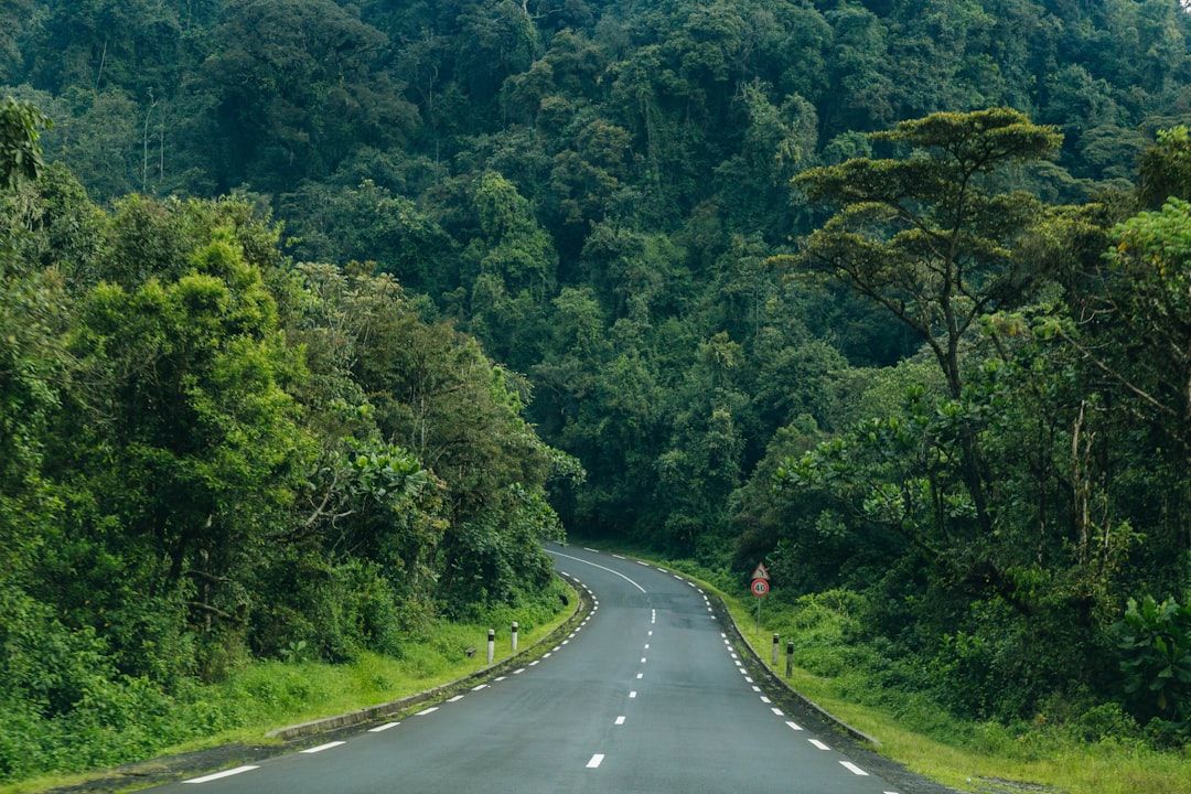 Rwanda countryside nature landscape
